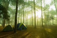 Mon camping préféré 2022 est attribué au Camping du Pont Couvert de Waterville
